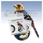 Bird Whistle - Crested Barbet