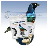 Bird Whistle - Superb Starling
