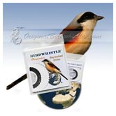 Bird Whistle - Bay-backed Shrike