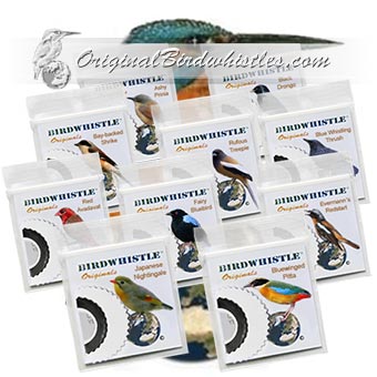 Bird Whistles (Asia Editions)