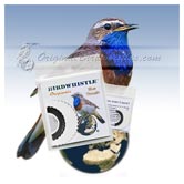Bird Whistle - Bluethroat