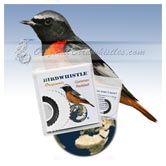 Bird Whistle - Redstart