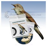 Bird Whistle - Nightingale